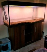 Aquarium 450l - bis zum 20.5 für nur 230€ Mecklenburg-Strelitz - Landkreis - Woldegk Vorschau