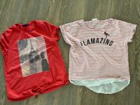 Zwei T-Shirts Tom Tailor Gr. 164 rot und rosa-weiß gestreift Schleswig-Holstein - Oststeinbek Vorschau