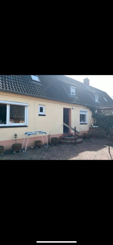 Doppelhaushälfte zu verkaufen* Besichtigungen am 1.5 * in Rendsburg