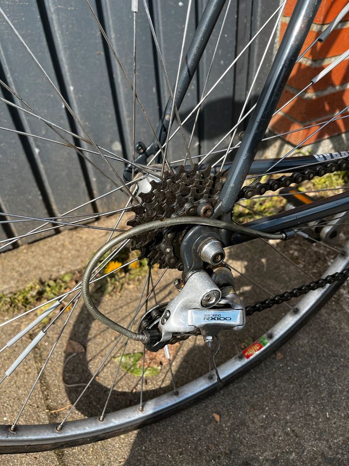 Damenrennrad Retro in Hasenkrug bei Brokstedt