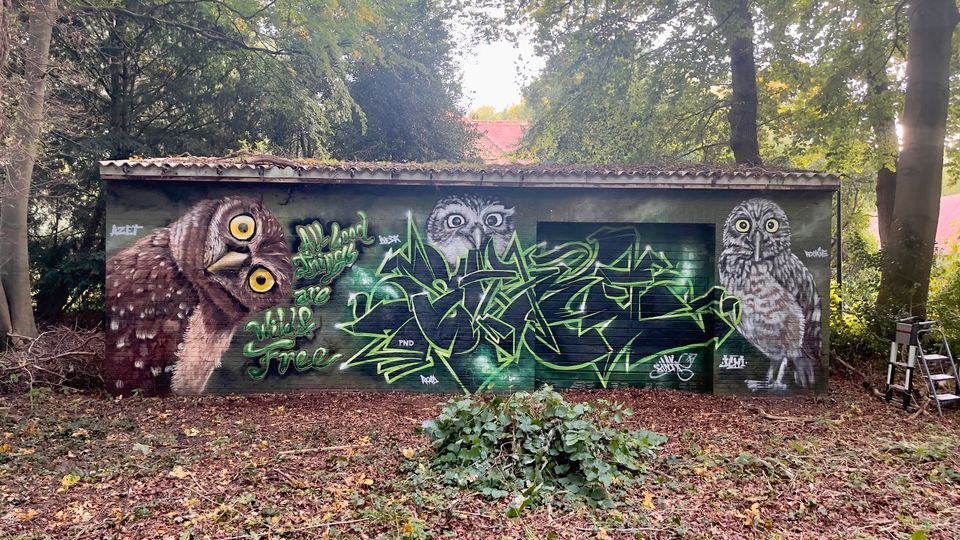 Graffiti Fassadenbemalung in Leer (Ostfriesland)