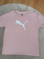Puma Shirt Berlin - Reinickendorf Vorschau