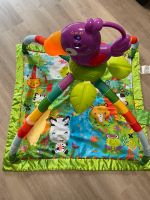 Spielbogen Fisher Price Dschungel Nordrhein-Westfalen - Paderborn Vorschau