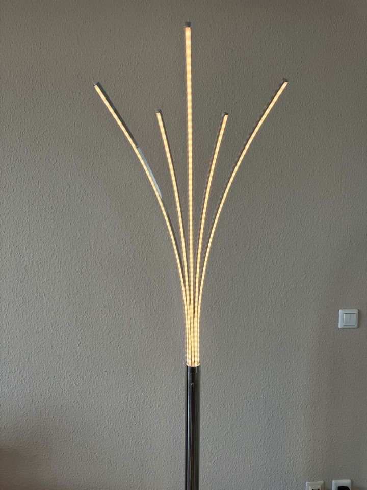 LED Lampe mit 3 Helligkeitsstufen 178cm Höhe in Hannover