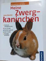 Zwergkaninchen Buch zu verschenken Bayern - Adelsdorf Vorschau