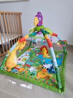 Spielebogen Fisher-Price Rainforest Schleswig-Holstein - Hardebek Vorschau