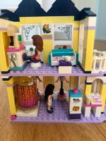 Lego Friends Boutique Geschäft 41427 Hessen - Bad Homburg Vorschau