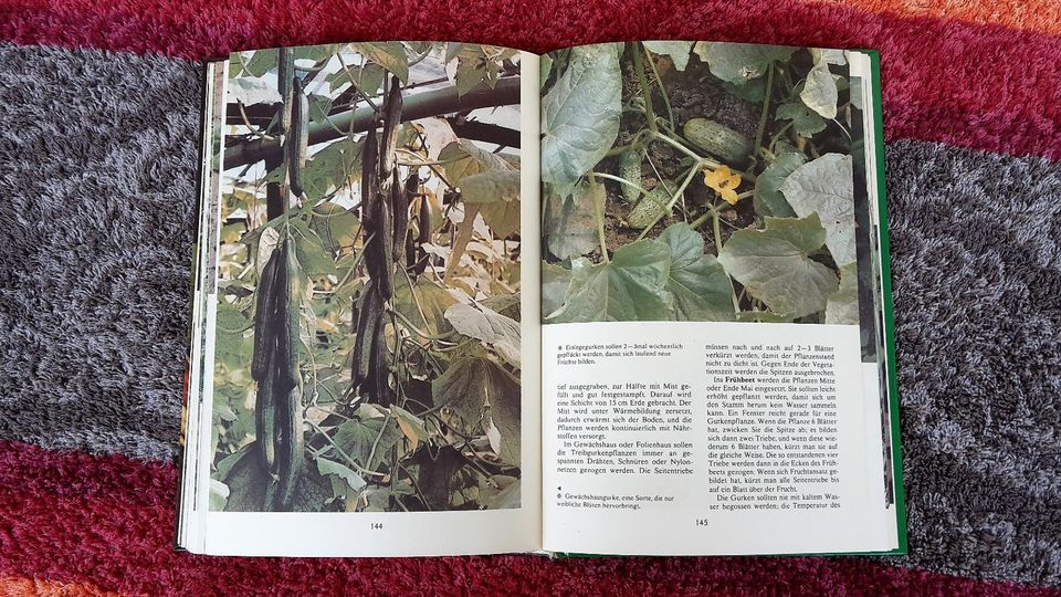 Gemüse im Garten / Garten Grammatik vom ARTIA Verlag Prag 1984 in Jena