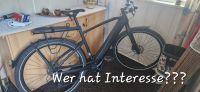E-Bike für Herren Berlin - Hellersdorf Vorschau