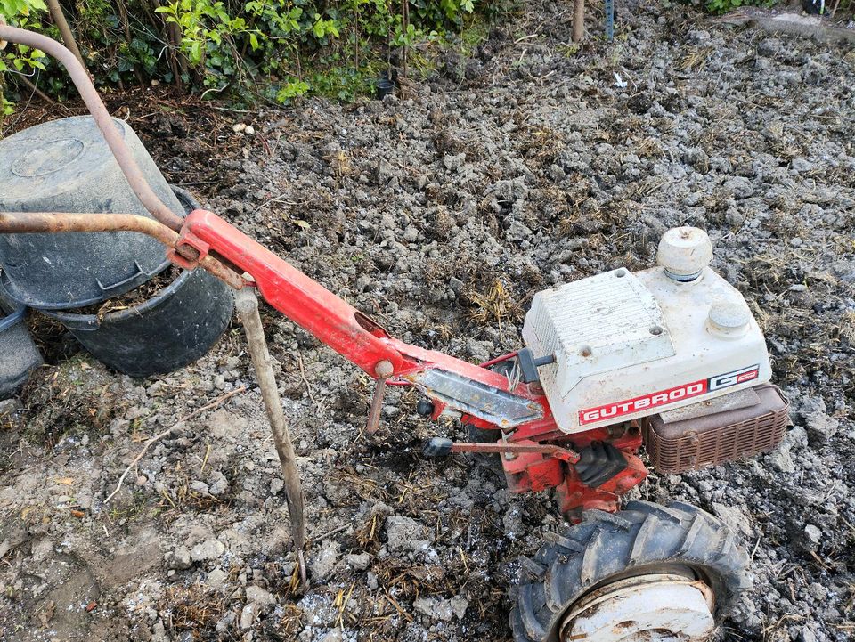 Gutbrod 80 Terra Einachser in Bielefeld