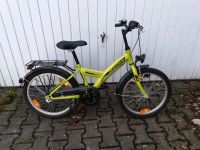 Kinderfahrrad Pegasus Arcona grün, 20" Leipzig - Lindenthal Vorschau