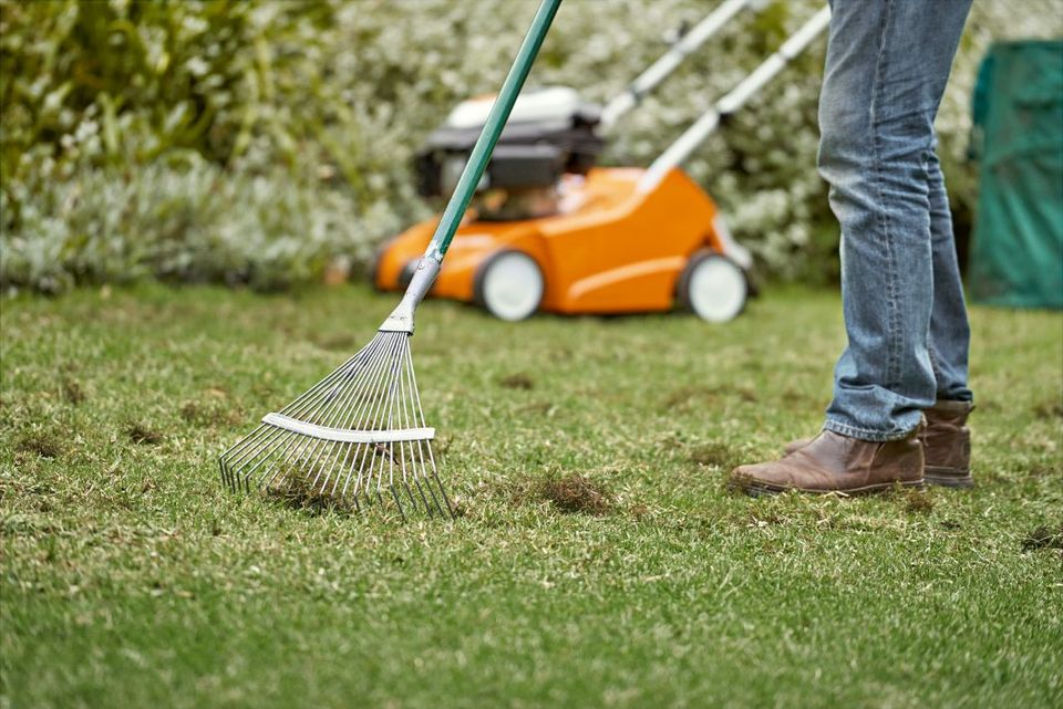 STIHL BENZIN-RASENLÜFTER RL 540 in Hofkirchen