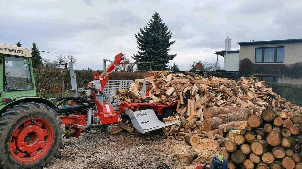 Lohnspalten Lohnsägen Holz Holzspalter Brennholz Wald Spalter in Blankenhain