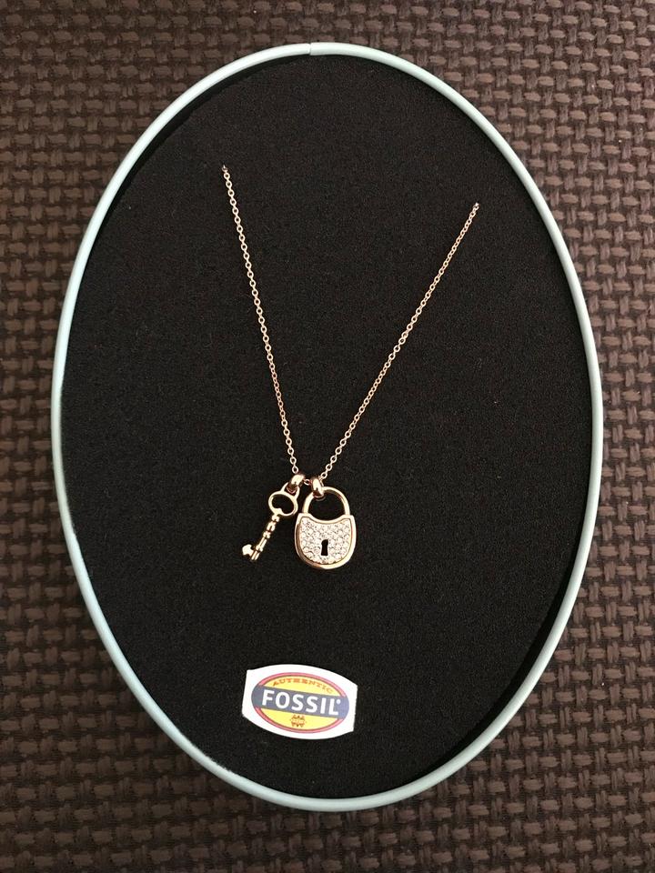 „Ungetragene“ Fossil Kette zu verkaufen - Preis mit Versand in Nürnberg (Mittelfr)