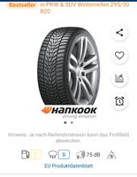 2 Stück 295/30/ R 20 /101 W  Hankook Winter I Cept Hessen - Heppenheim (Bergstraße) Vorschau