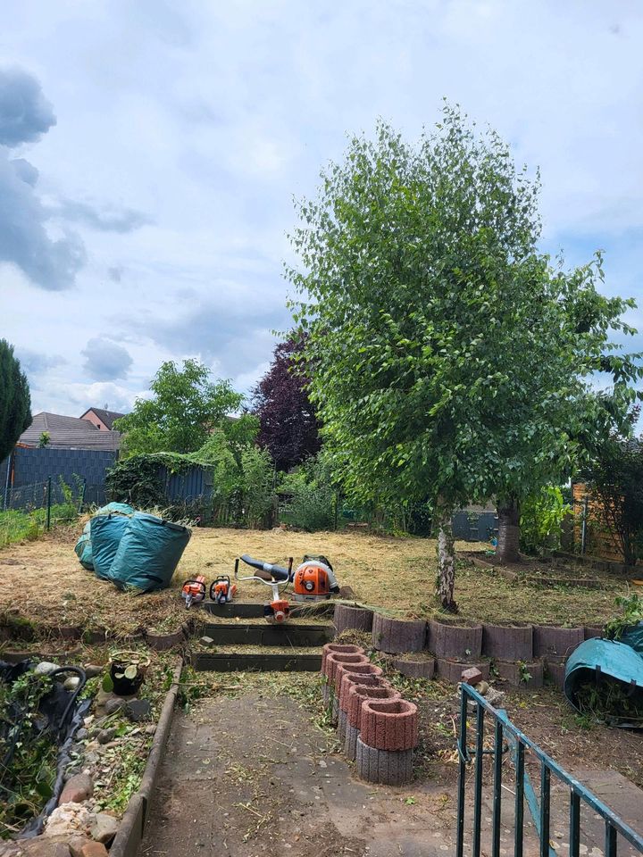 Ich biete Bagger und garten Arbeit in Düren