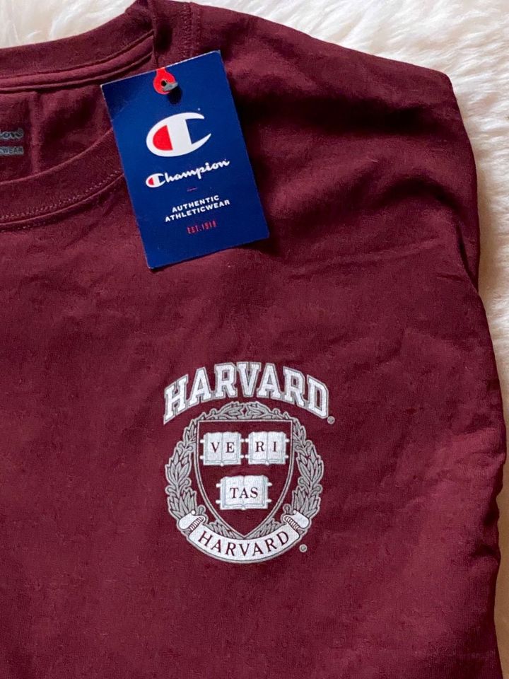 echtes Universität HARVARD T-Shirt USA Gr. L Bordeaux in Dreieich