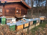 Bienenwirtschaftsvölker auf Dadant München - Sendling Vorschau