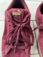 Puma Schuhe Gr. 37.5 Baden-Württemberg - Freiburg im Breisgau Vorschau