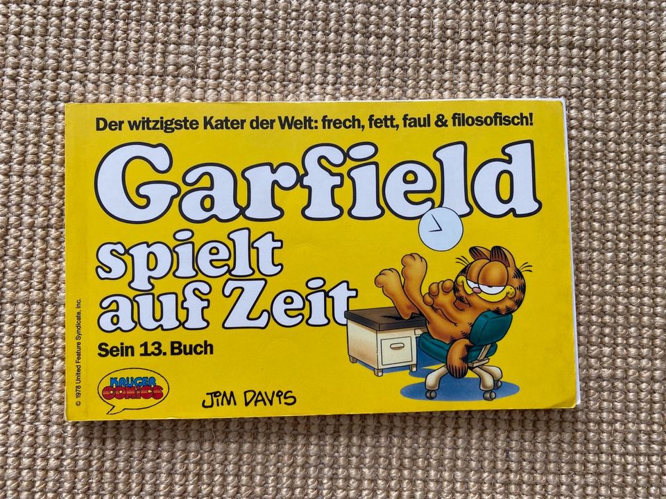 Ältere Hägar der Schreckliche + Garfield-Comics in Grasbrunn