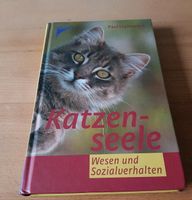 Katzenseele Wesen und Sozialverhalten /kostenloser Versand. Bayern - Mintraching Vorschau