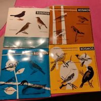 4 Vogelstimmen Stimmen einheimischer Singvögel Vinyl 45 Kosmos Wandsbek - Hamburg Wellingsbüttel Vorschau