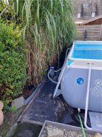 intex Pool Nordrhein-Westfalen - Recklinghausen Vorschau