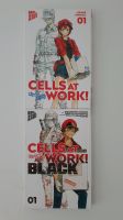 Manga-Paket Cells at Work 2 Manga-Büch 1-1 für Anime Fan-Samml Baden-Württemberg - Ulm Vorschau