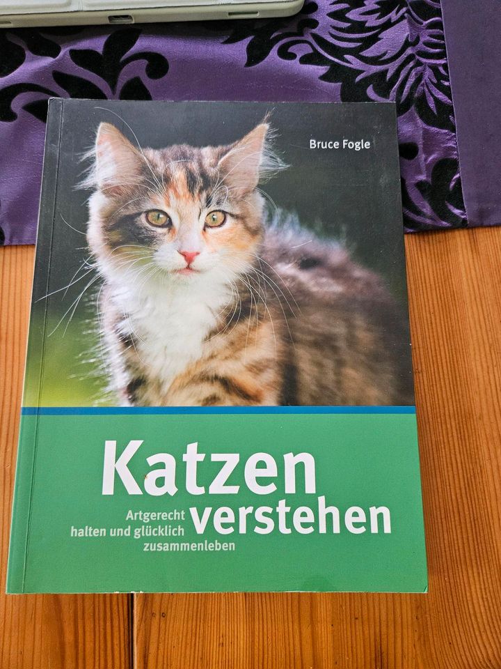 Kinder dürfen aggressiv sein, 2 Katzenbücher in Lünen