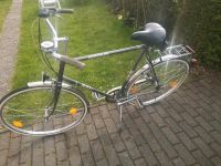 HERCULES Herrenfahrrad Fahrrad 28 Zoll RH 63 cm NEUE REIFEN Hessen - Gladenbach Vorschau