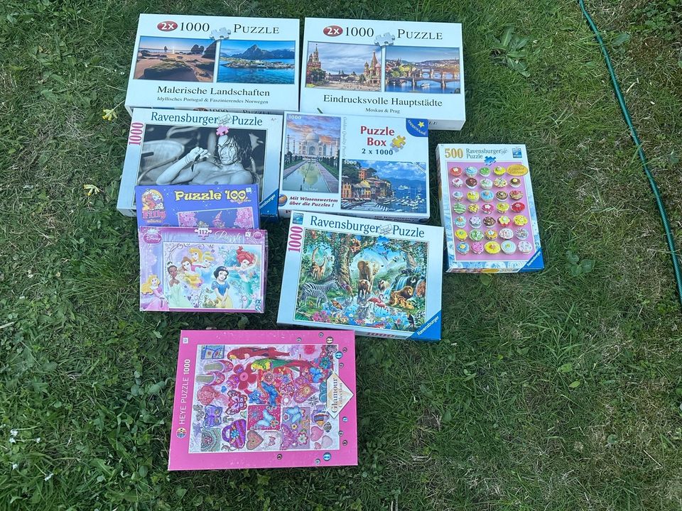 Puzzle Konvolut xxl Ravensburger in Dresden