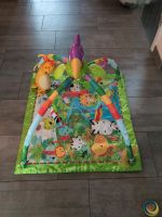 Rainforest Fisher Price Rheinland-Pfalz - Esch bei Wittlich Vorschau