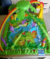 Fisher Price Rainforest mit Zusatzdecke und Transporttasche Hessen - Gorxheimertal Vorschau