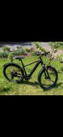 E Bike Scott Aspect Hessen - Frankenberg (Eder) Vorschau