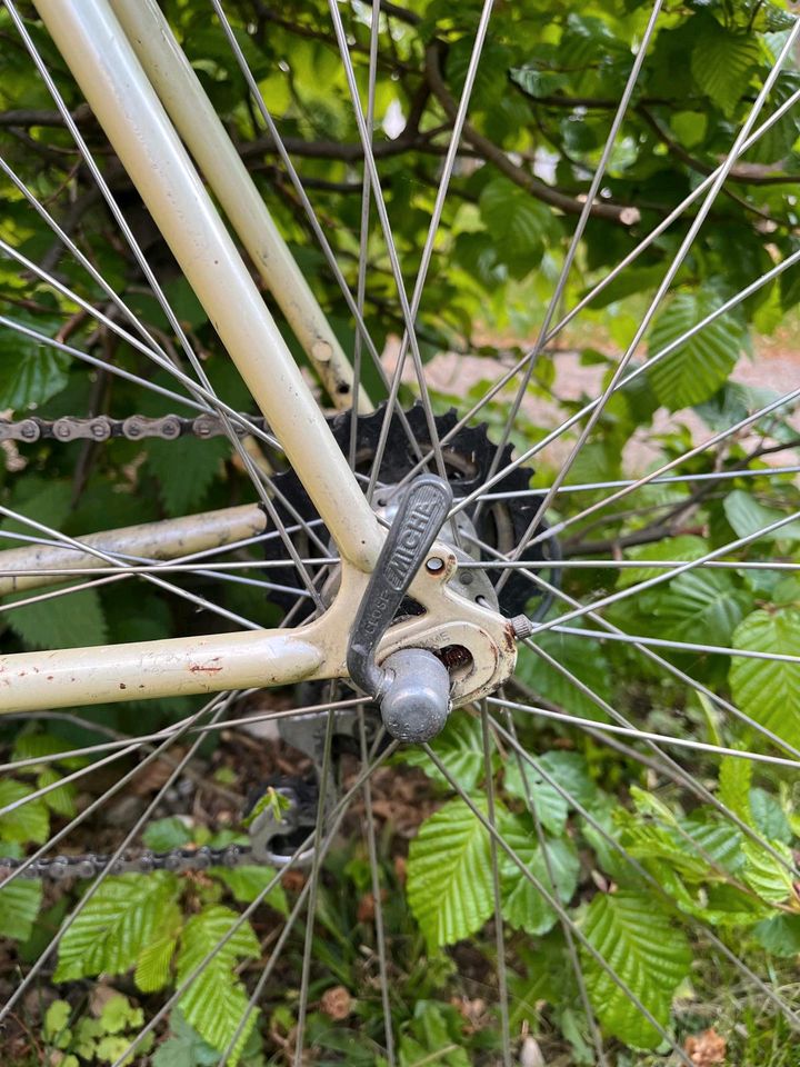 RALEIGH Triathlon Rennrad – Retro Vintage 80s (RH60) in München