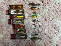 Rapala Wobbler NEU Köder Spinnfischen Angeln Hardbaits Barsch Rügen - Sassnitz Vorschau