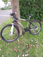 Zündapp Fahrrad Mountainbike 26er Bielefeld - Bielefeld (Innenstadt) Vorschau