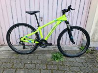 Mountainbike Rockrider ST 100 Hessen - Offenbach Vorschau