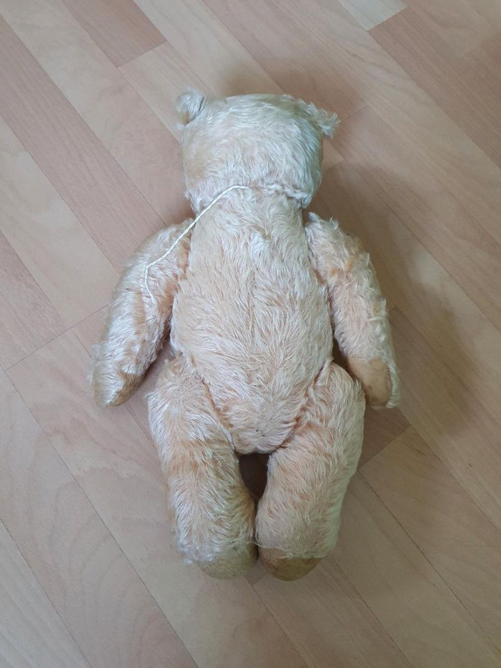 Original Steiff Teddy in Bremen