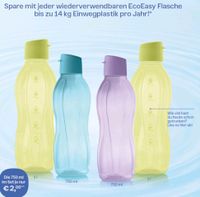 Tupperware EcoEasy Trinkflasche (2) 750ml 1l grün blau lila NEU Bayern - Horgau Vorschau