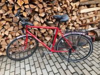 HERCULES Retro-City-Bike Männer Bayern - Hettstadt Vorschau