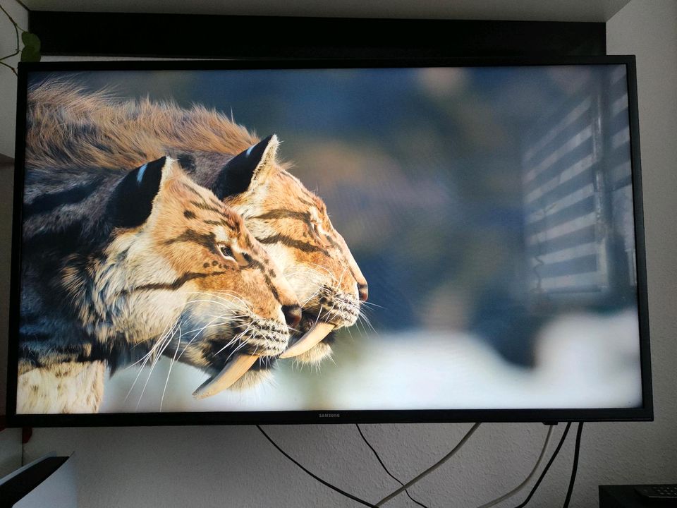 Samsung 43 Zoll 4K UHD HDR in Bautzen