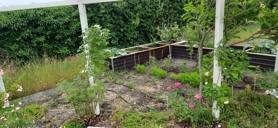 Kleingarten - 354m² - super schön, ab in die Natur in Schkeuditz