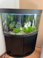 Aquarium von Juwel - Trigon 190L - schwarz Bayern - Arnstein Vorschau
