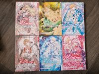 Eliana Prinzessin der Bücher 1 bis 6 Manga Anime Tokyopop Hessen - Wiesbaden Vorschau