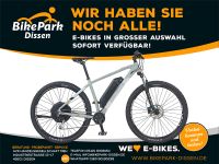 Prophete Elektro-Fahrrad 29" Graveler 22.EMM.20 AEG 48 Volt 500Wh Niedersachsen - Dissen am Teutoburger Wald Vorschau