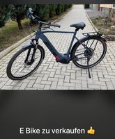 EBike wie neu -Cone Bosch CX4 Street 4.0 XL Baden-Württemberg - Furtwangen Vorschau