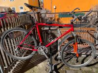 Mountainbike Univega Alpina 6.9 Bayern - Augsburg Vorschau