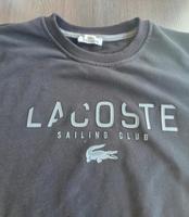 Lacoste Sweater Pullover gr. L Rheinland-Pfalz - Bingen Vorschau
