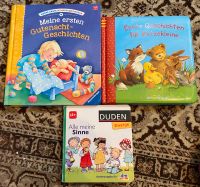 Kinderbücher (Paket oder einzeln) Baden-Württemberg - Pforzheim Vorschau